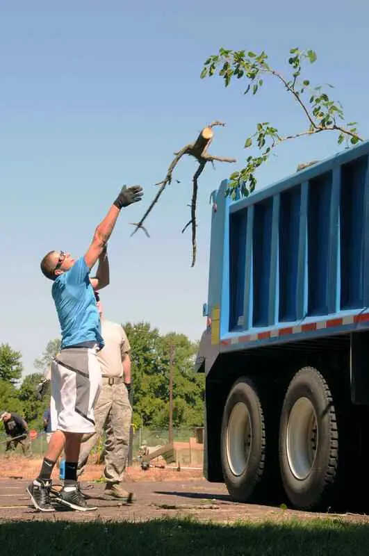 Illustration for the guide: Yard Debris Removal: A Homeowner’s Guide